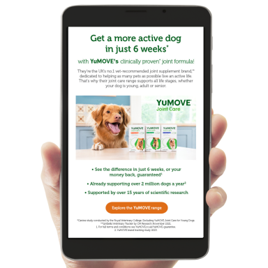 Email Campaign