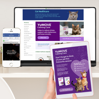 Trade Marketing Campaign